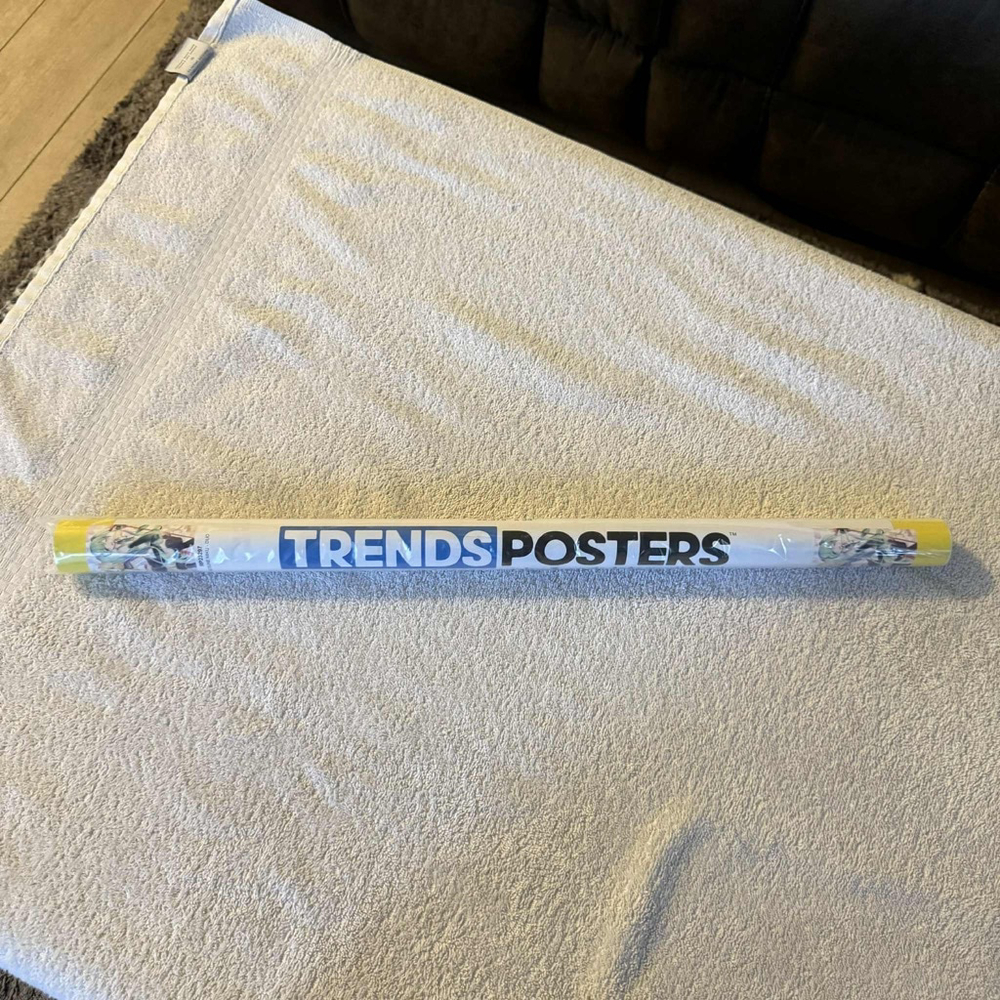 Trends International Hatsune Miku Duo Poster One Size